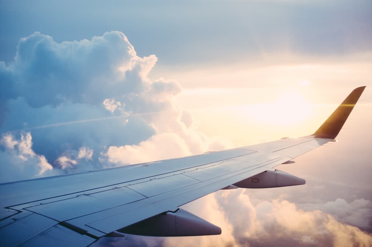 Flights & Stays
